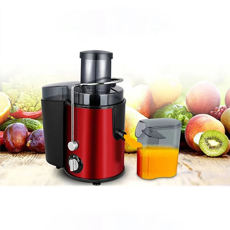Stainless Steel Fruit Juicer