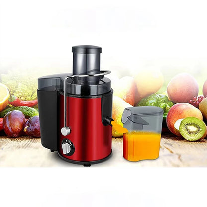 Stainless Steel Fruit Juicer