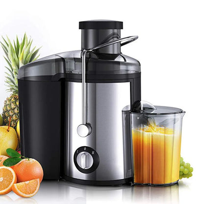 Stainless Steel Fruit Juicer
